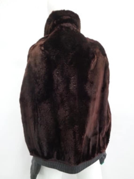 Excellent Sheared Arctic Beaver Fur & Leather Coa… - image 4