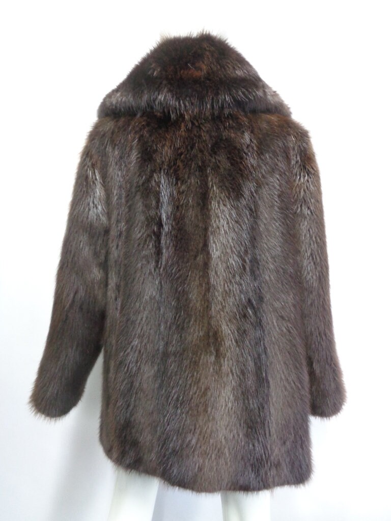 manteau de castor