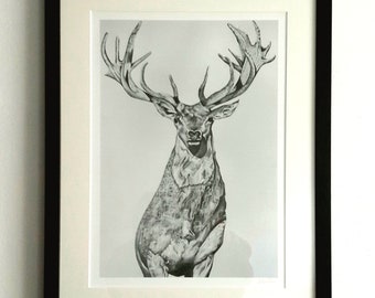 Belas Artes de Veado, Veado, Arte de Parede, Decoração de Casa, Desenho Original a Lápis de Vida Selvagem, Impressão Giclée Emoldurada, Pronta para Pendurar, por Esther Quin. Assinatura do Artista