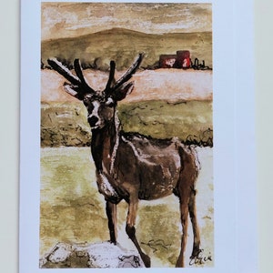 Schottischer Hirsch, Highland Deer Grußkarte, Blanko Karte, Dankeskarte, Notizkarte, Für Him Karte, Schottland Weihnachtskarte Von Esther Quin