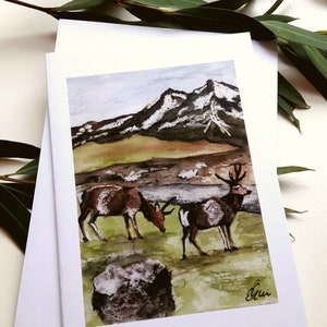 Wild Highlands Deer (5 set) blanco wenskaarten, Glencoe, hert, Schotse bergen uit origineel aquarelschilderij van Esther Quin