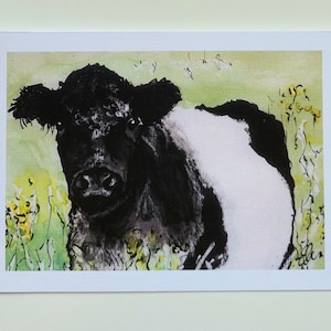 "Gürtelte ""Beltie"" Galloway-Kuh Grußkarte, Grußkarte, Gemalt, Schottische Kuh-Grußkarte, Originalkunstwerk von Esther Quin."