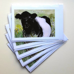 'Beltie' Galloway (5) koe met riem, blanco wenskaarten, bedankkaarten, multipack, notitiekaarten, originele aquarel. Esther Quin