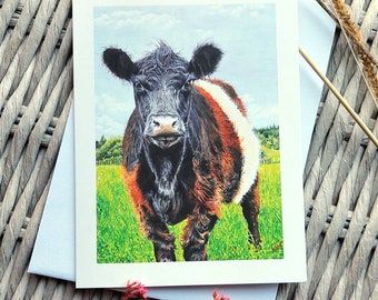 Belted Galloway, Beltie Cow Greetings Card Blank With Envelope. Scottish Cow, Thank You Card, Birthday Card, Original Painting.