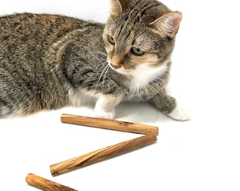 Lot de 3 os à mâcher pour chat ou petit chien en bois d'olivier