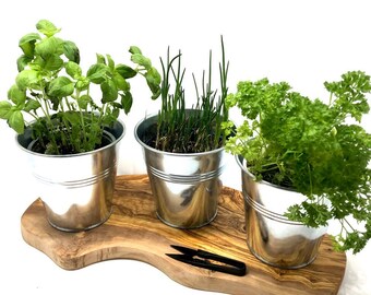 3 pot herb station ZINK on an olive wood base, optionally with herb scissors – a great gift