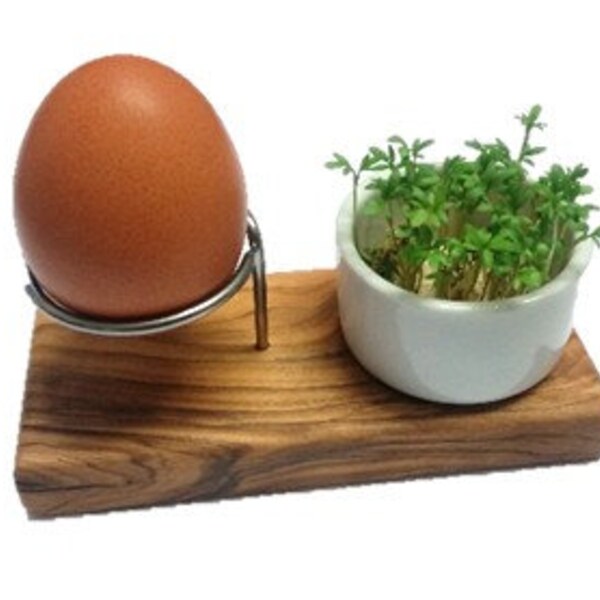 Egg holder DESIGN PLUS including a bowl made of porcelain for the egg shells