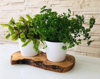 2 pot herb station on an olive wood base, optionally with herb scissors – a great gift for housewarmig