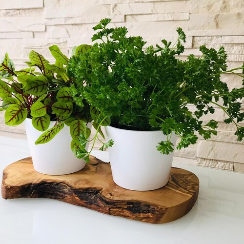 2 pot herb station on an olive wood base, optionally with herb scissors – a great gift for housewarmig