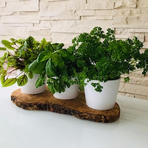 3 pot herb station on an olive wood base, optionally with herb scissors – a great gift for moving house