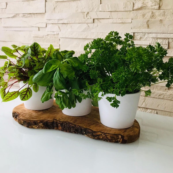 3 pot herb station on an olive wood base, optionally with herb scissors – a great gift for moving house