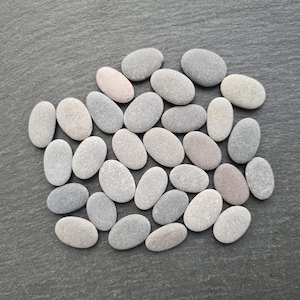 Set of 30 Small Flat Oval Pebbles: around 20 mm Long
