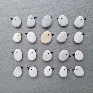 May include: A collection of smooth, oval stones, each painted to resemble a bird. The stones are mainly white and grey, with black beak details. The birds are arranged in rows on a grey surface.