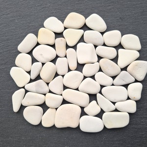 Bulk Plain White Sea Pottery Shards / Assorted sizes 10 - 40 mm / 130 g / over 40 pieces / Craft Supplies / UK beaches