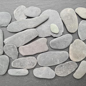 Set of 20 Sea Slate Pieces for Craft