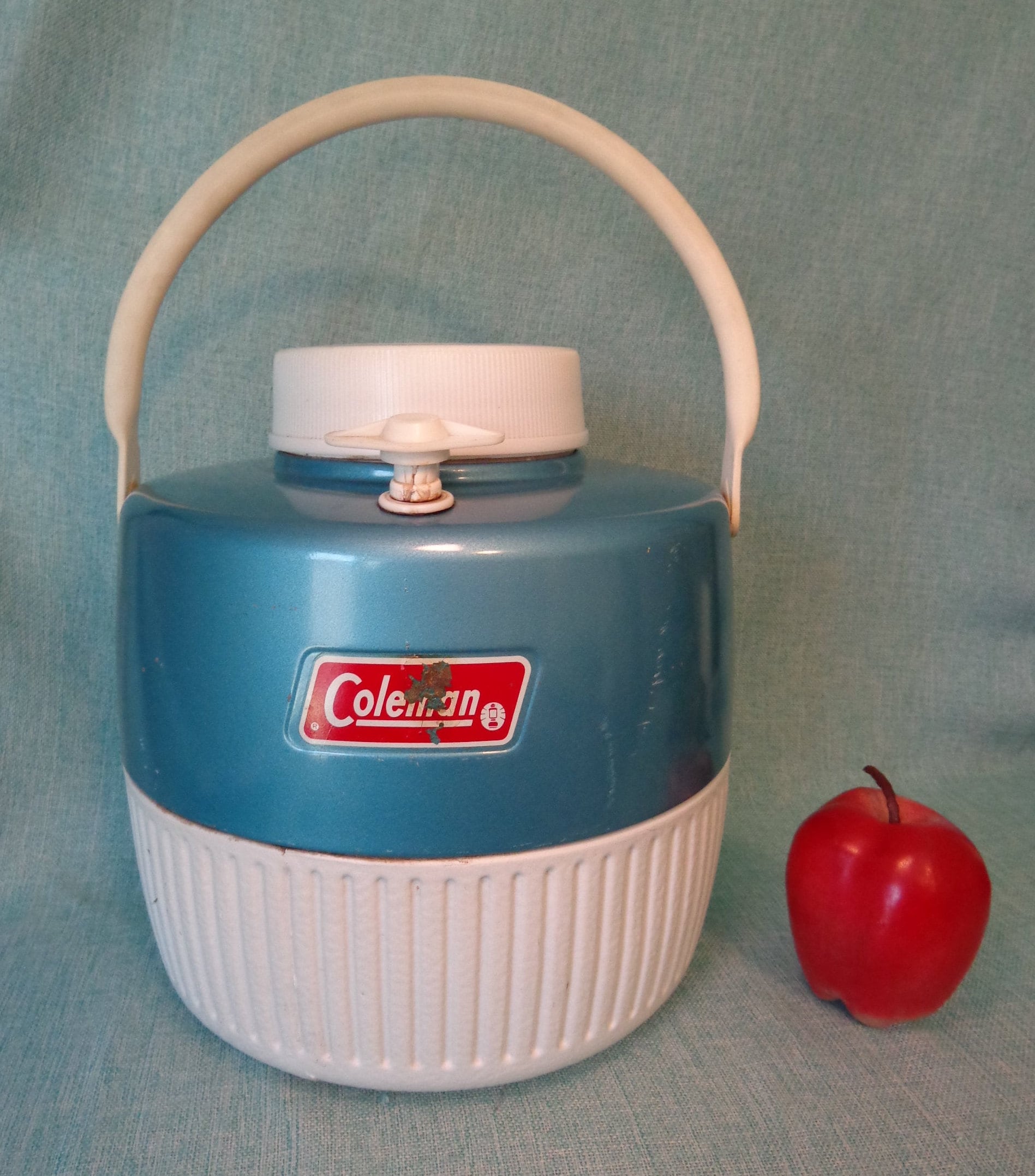 hidrate spark sync with fitbit