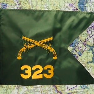 May include: A dark green flag with a yellow embroidered design of two crossed pistols and the number "323". The flag has a unique shape with a pointed end. The background is a detailed map.