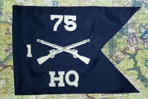 Single Side Infantry Guidon (Regulation) For Frame