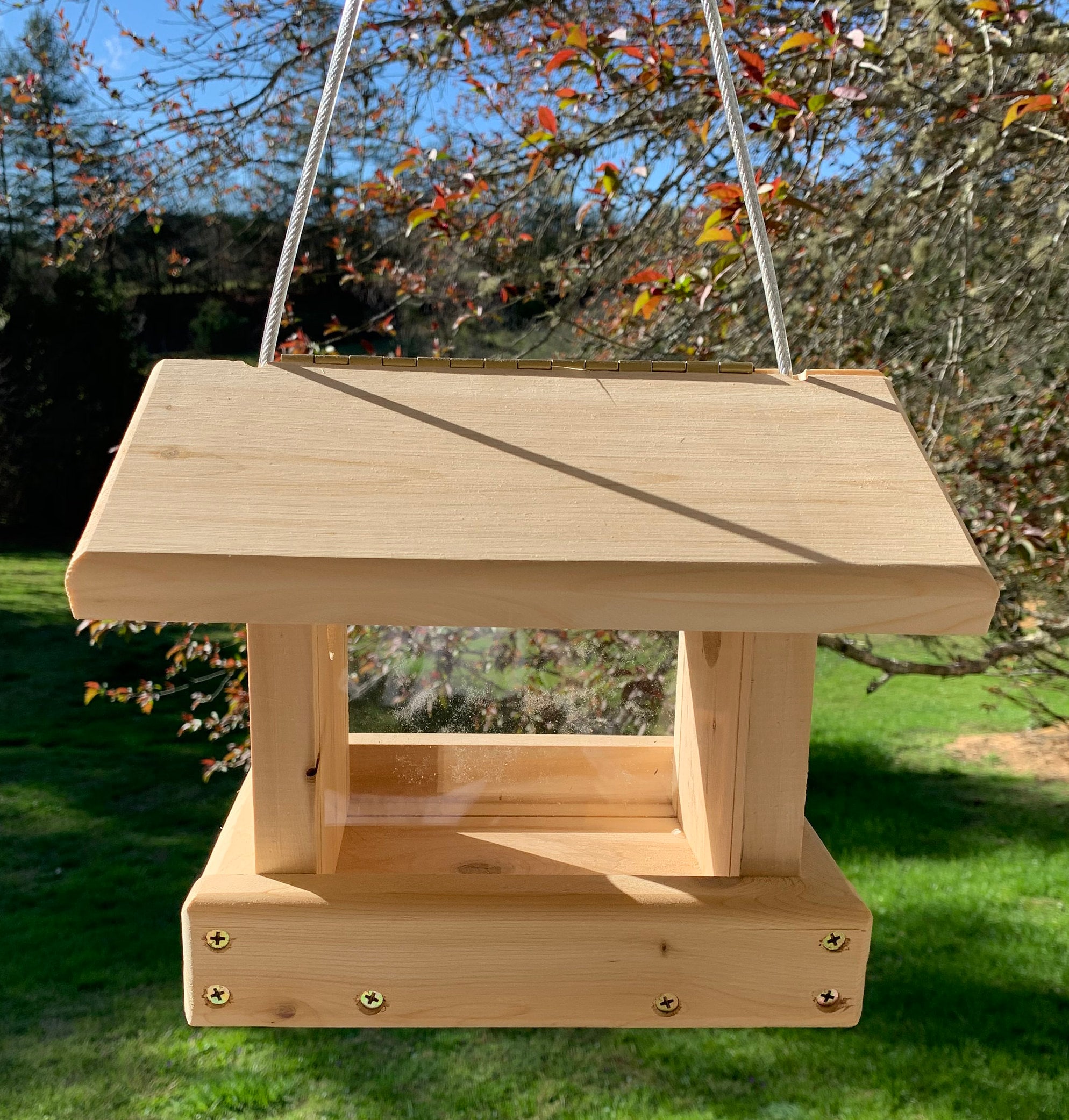 Blue Bird Feeder , Hanging or Pole Mount  Blue Bird Feeder