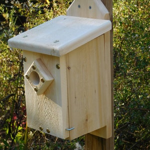 Blue Bird House,Cedar Slant Roof Bird House,Wood Bird House image 1