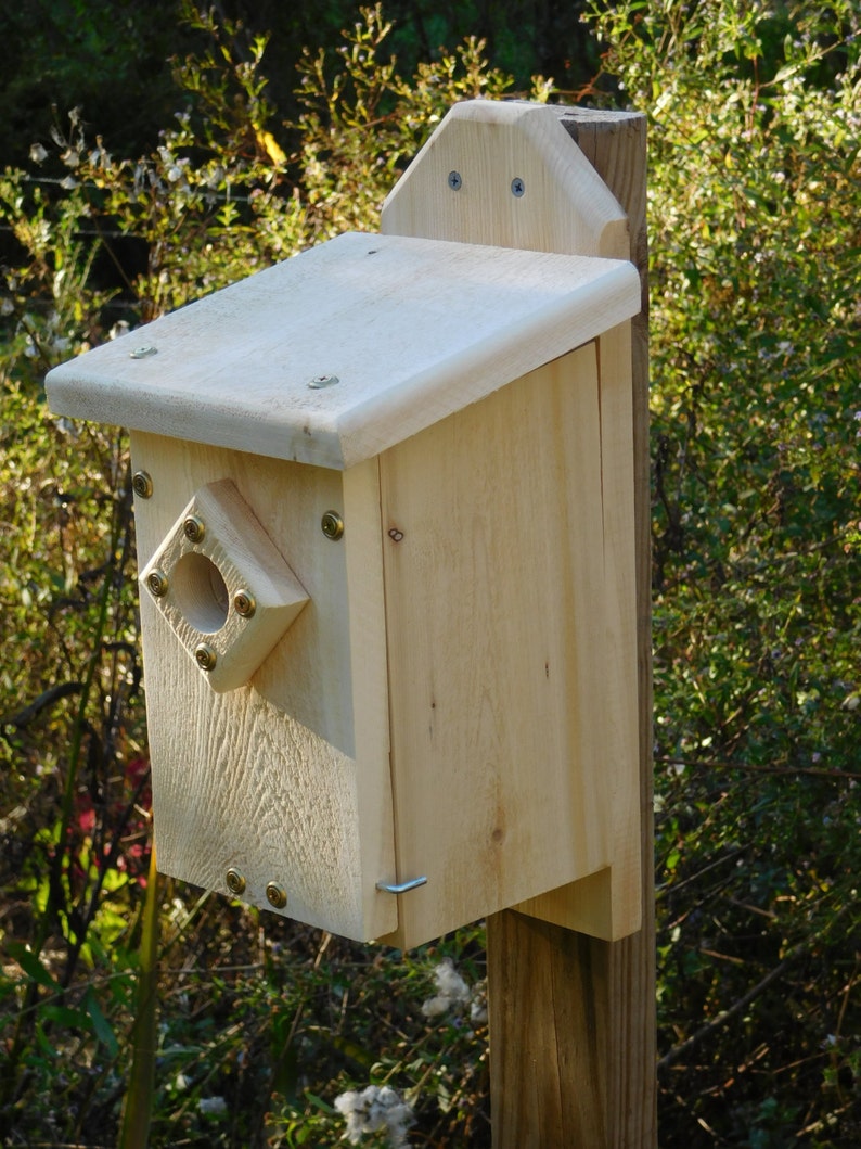 Blue Bird House,Cedar Slant Roof Bird House,Wood Bird House image 1