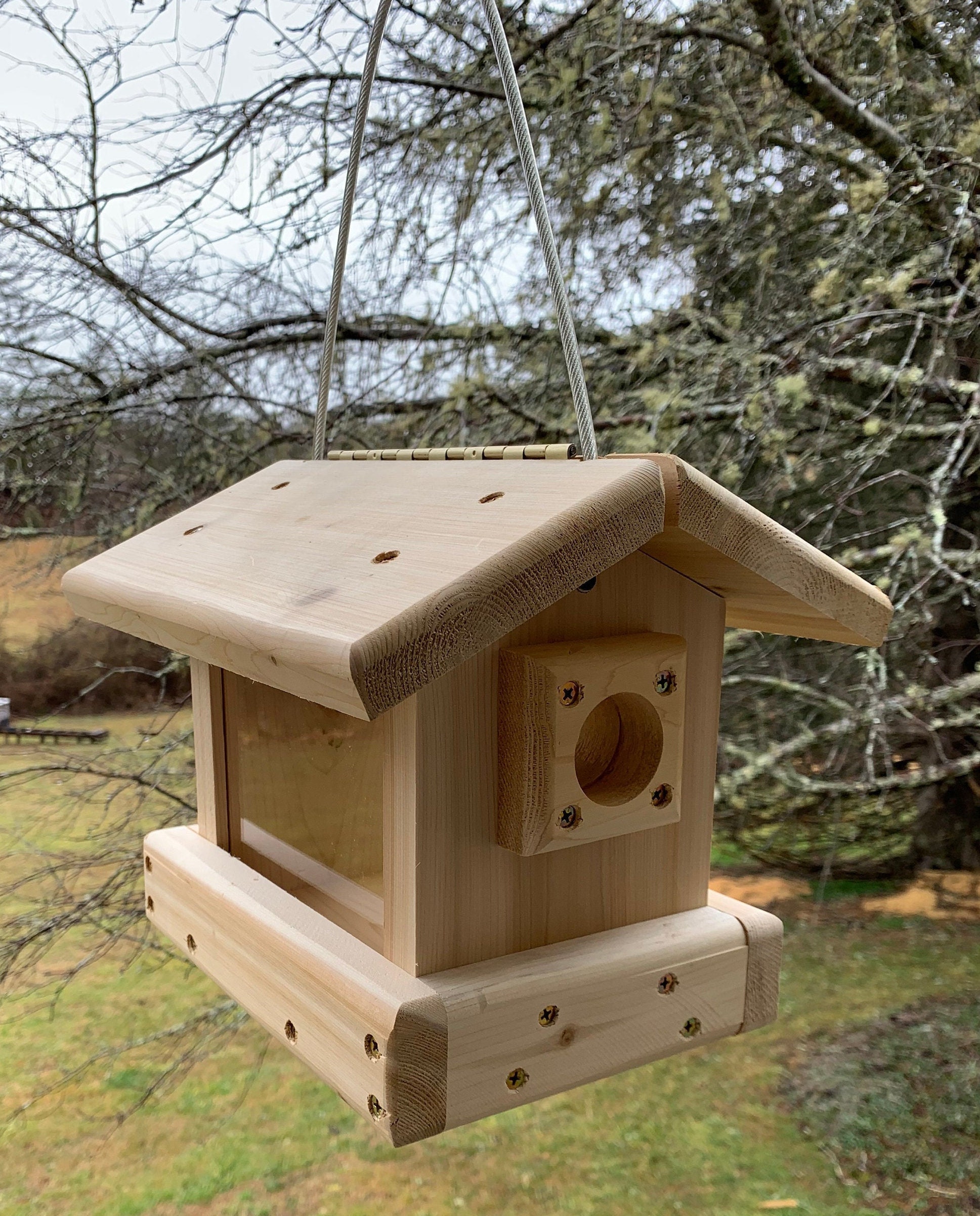 Blue Bird Feeder , Hanging or Pole Mount  Blue Bird Feeder