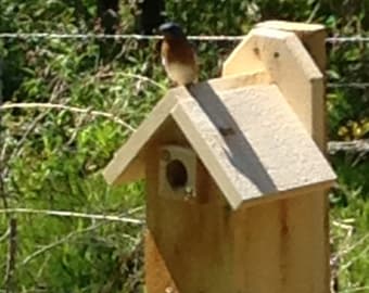 Blue Bird House,Cedar Traditional Bird House,Wood Bird House