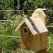 see more listings in the Bird Houses section