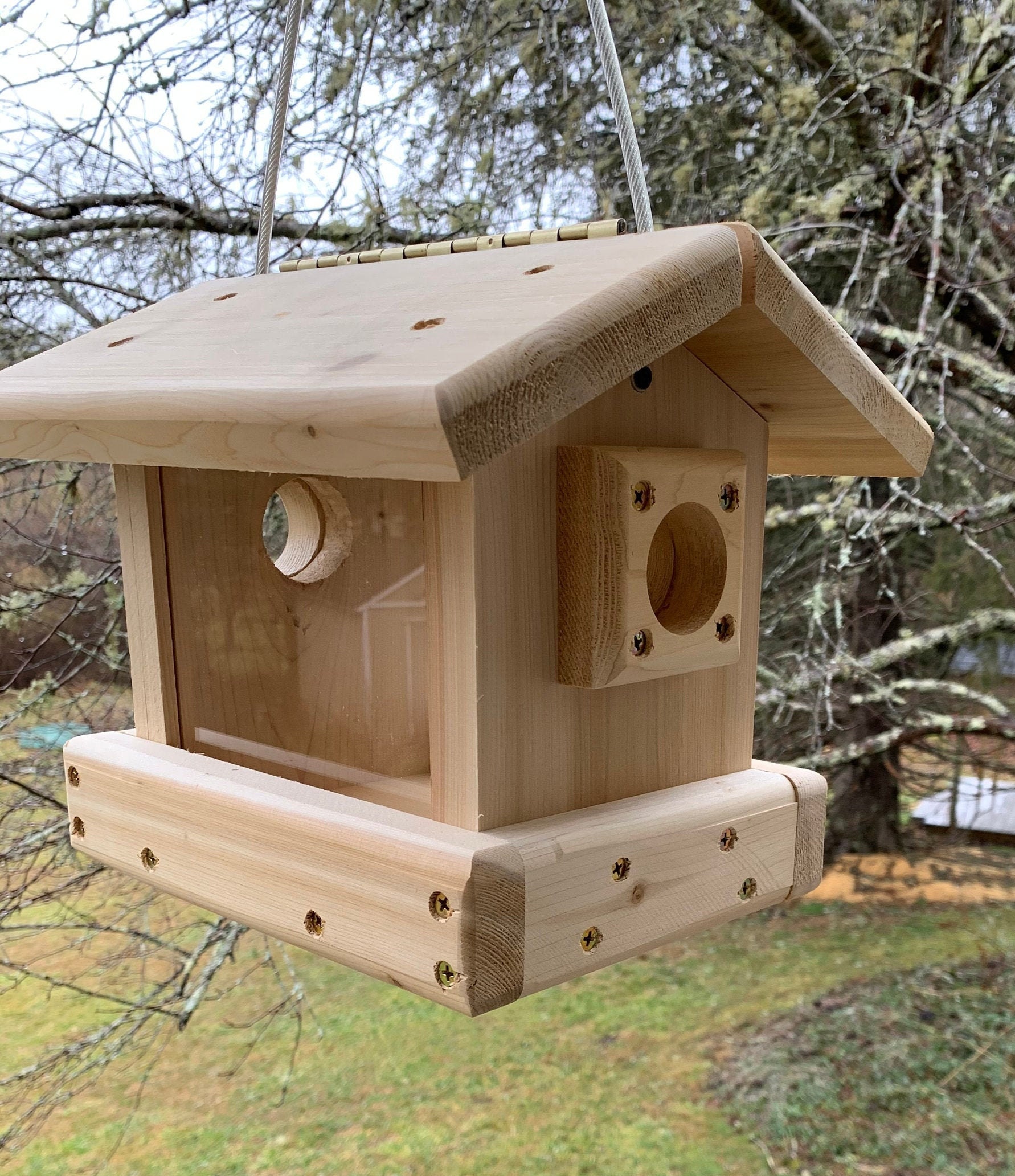 Blue Bird Feeder , Hanging or Pole Mount  Blue Bird Feeder