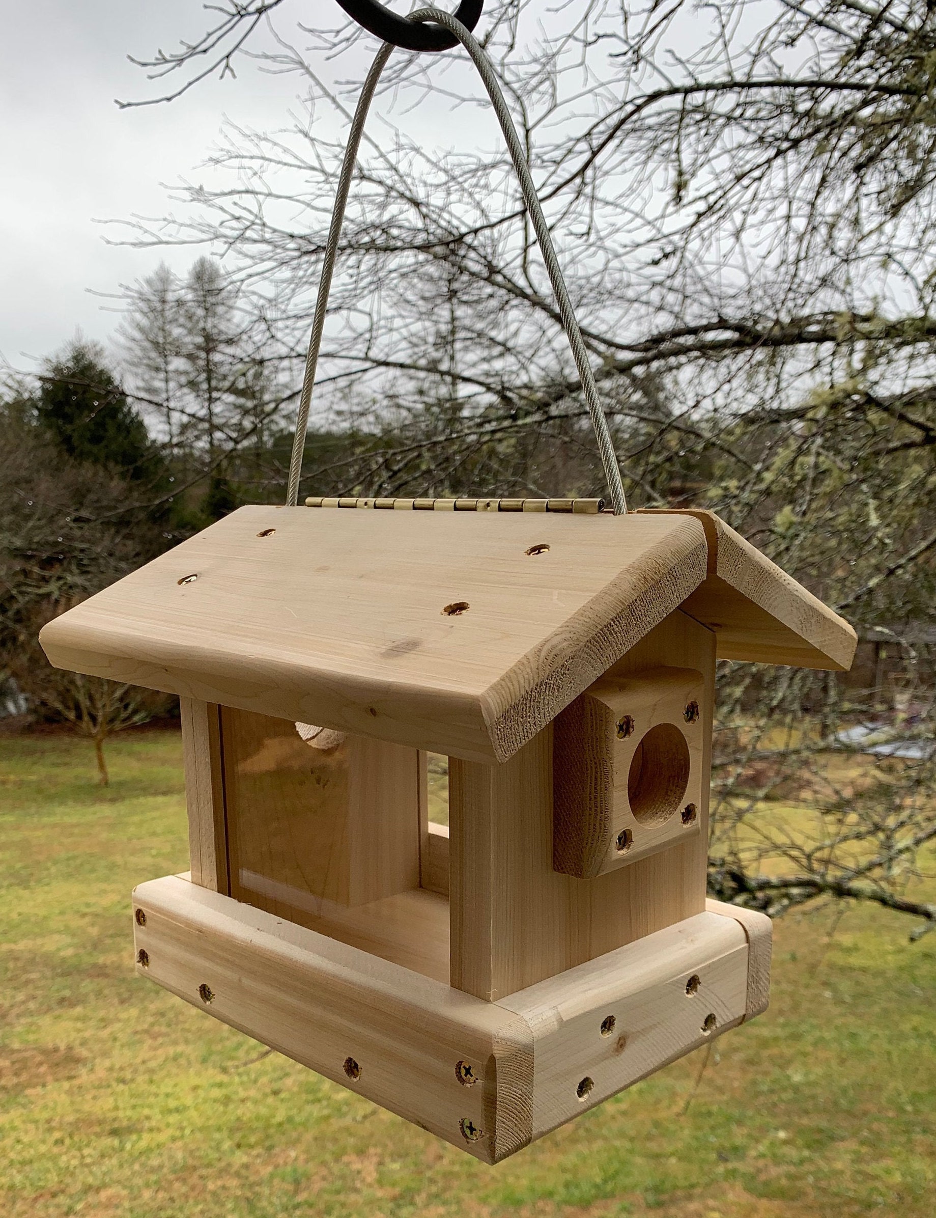 Blue Bird Feeder , Hanging or Pole Mount  Blue Bird Feeder