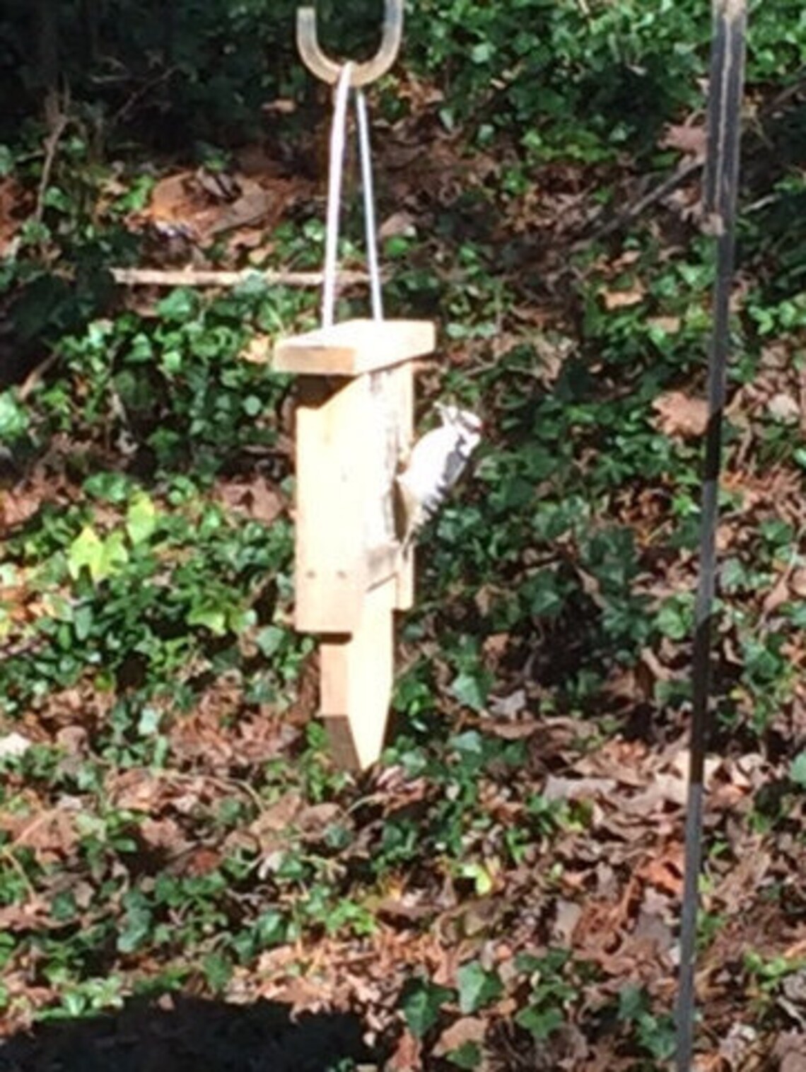 Cedar Single Suet Feeder Woodpecker FeederTail Prop Suet Etsy
