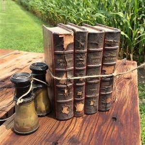 1861-65 Set of 4 Youmans Books Civil War Household Science, Heat Mode of Motion Vintage Science Instruction, Homeschool Material Reference