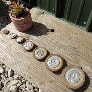 May include: A collection of antique cast iron weights, ranging in size, arranged on a weathered wooden surface. The weights have a circular design with raised markings. A small potted succulent plant sits nearby.