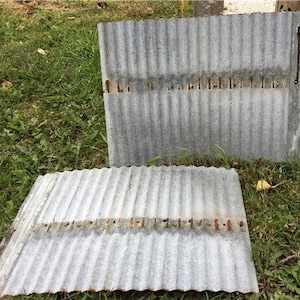 May include: Two pieces of weathered, corrugated metal roofing sheets. The sheets are gray with vertical ridges and show signs of rust along the edges and where they were fastened. They rest on a bed of green grass.