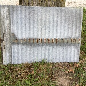 May include: A weathered, corrugated metal sheet with rust-colored streaks and nail holes. The sheet is gray and has a slightly textured surface.