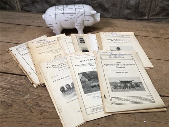 コラージュジャーナル*『』 1928 Hog Swine Pig Brochures AG Extension, Beef Cattle
