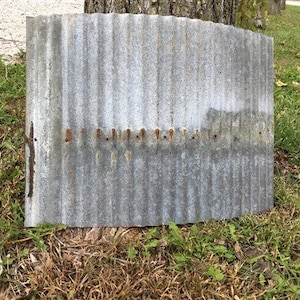 May include: A weathered, corrugated metal sheet with a rusty brown patina. The sheet is slightly curved and has visible nail holes along the edges.