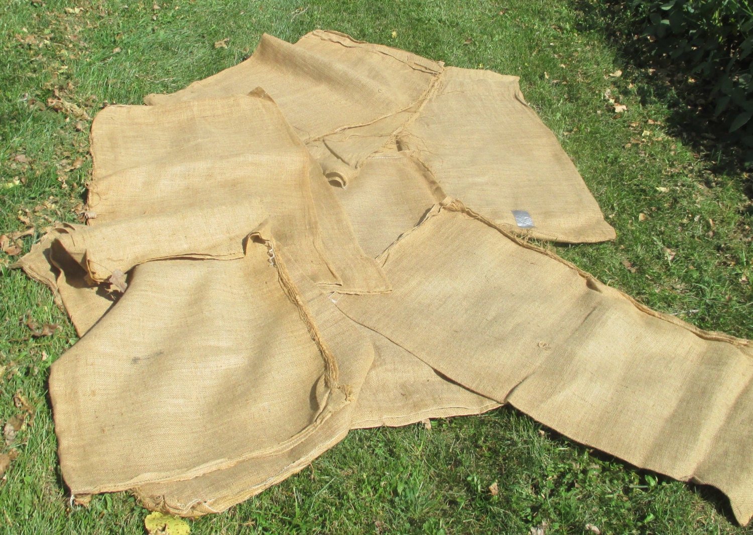 Lot of 10 Burlap Bags Gunny Sack Race 50 lb Seed Corn Bag Etsy