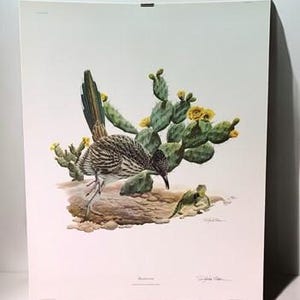 May include: A vintage print of a roadrunner bird with a lizard in the foreground. The bird is brown and gray with a long tail. The lizard is green and brown. The background is a cactus plant with yellow flowers.