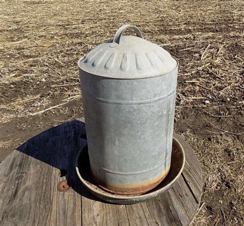 Galvanized Chicken Feeder Waterer Trough Metal Antique Vintage Etsy