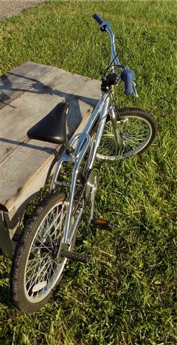 GT Dyno Zone BMX Bicycle 20 Inch Silver 