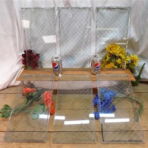 Puede incluir: Seis paneles de vidrio transparente con un patrón de malla de alambre. Los paneles están dispuestos en dos filas de tres. Los paneles están sobre una superficie de madera con flores artificiales y dos latas de refresco.