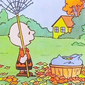 1987 Charlie Brown Raking Leaves Matted Vintage Peanuts 8x10 Print