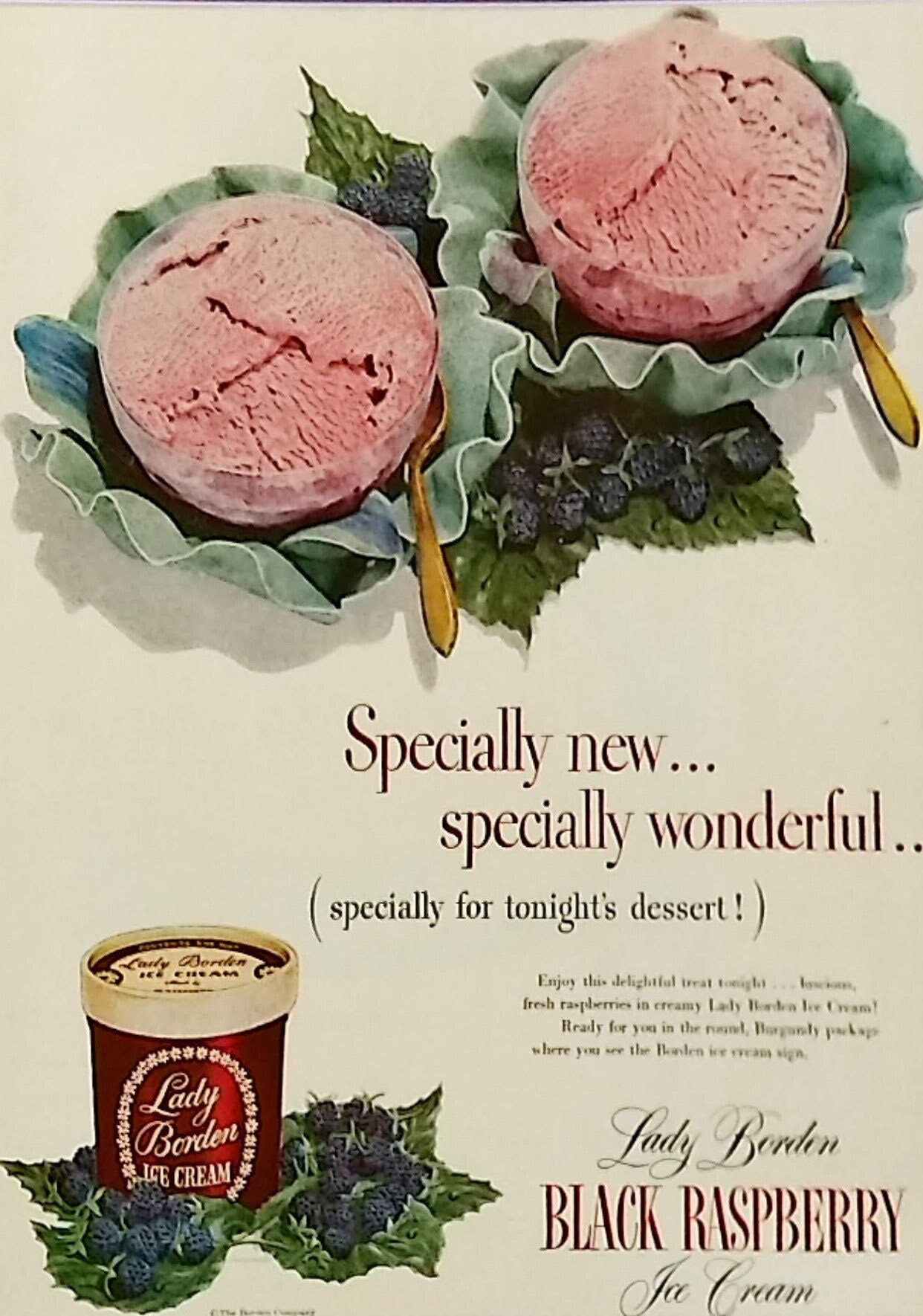 Borden ice cream - Etsy 日本