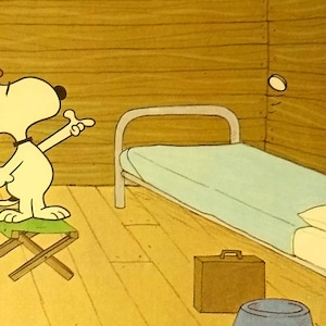 1970 Snoopy Camping Mattierter Vintage 8x10 Erdnussdruck Charlie Brown