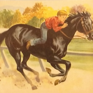 May include: A black horse with a brown saddle and bridle is running on a dirt track. A young boy in a red and white plaid shirt and blue jeans is riding the horse.