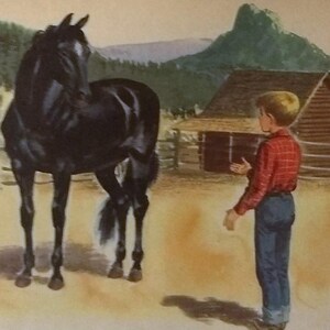 May include: A black horse stands in a field with a young person in a red and white plaid shirt. The person is holding a rope and looking at the horse. There is a wooden cabin in the background.
