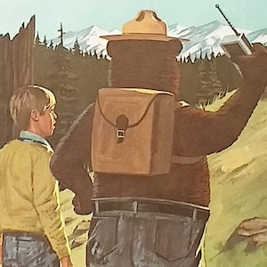 1972 Smokey Bear verfilzter Vintage 8x10 Print