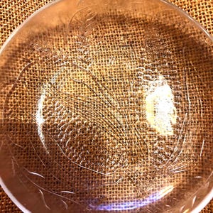 May include: A clear glass bowl with etched leaf and stem designs. The bowl has a slightly curved rim and a shallow depth. The etched details create a delicate, textured appearance. The bowl is likely for serving or display.
