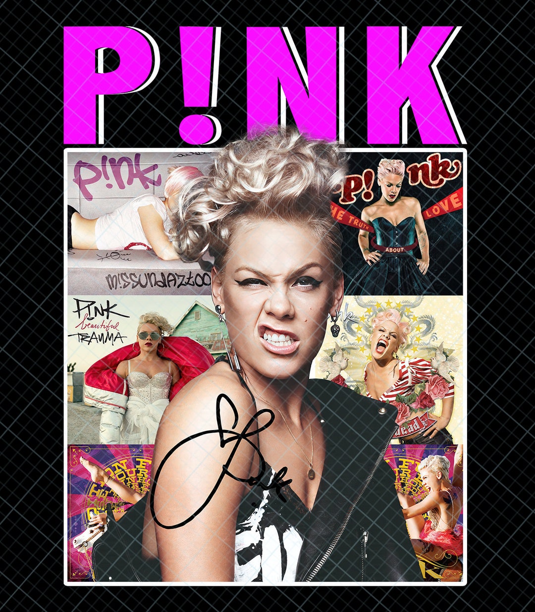 Pnk Pink Singer Summer Carnival 2024 Tour ,pink Fan Lovers ,music Tour